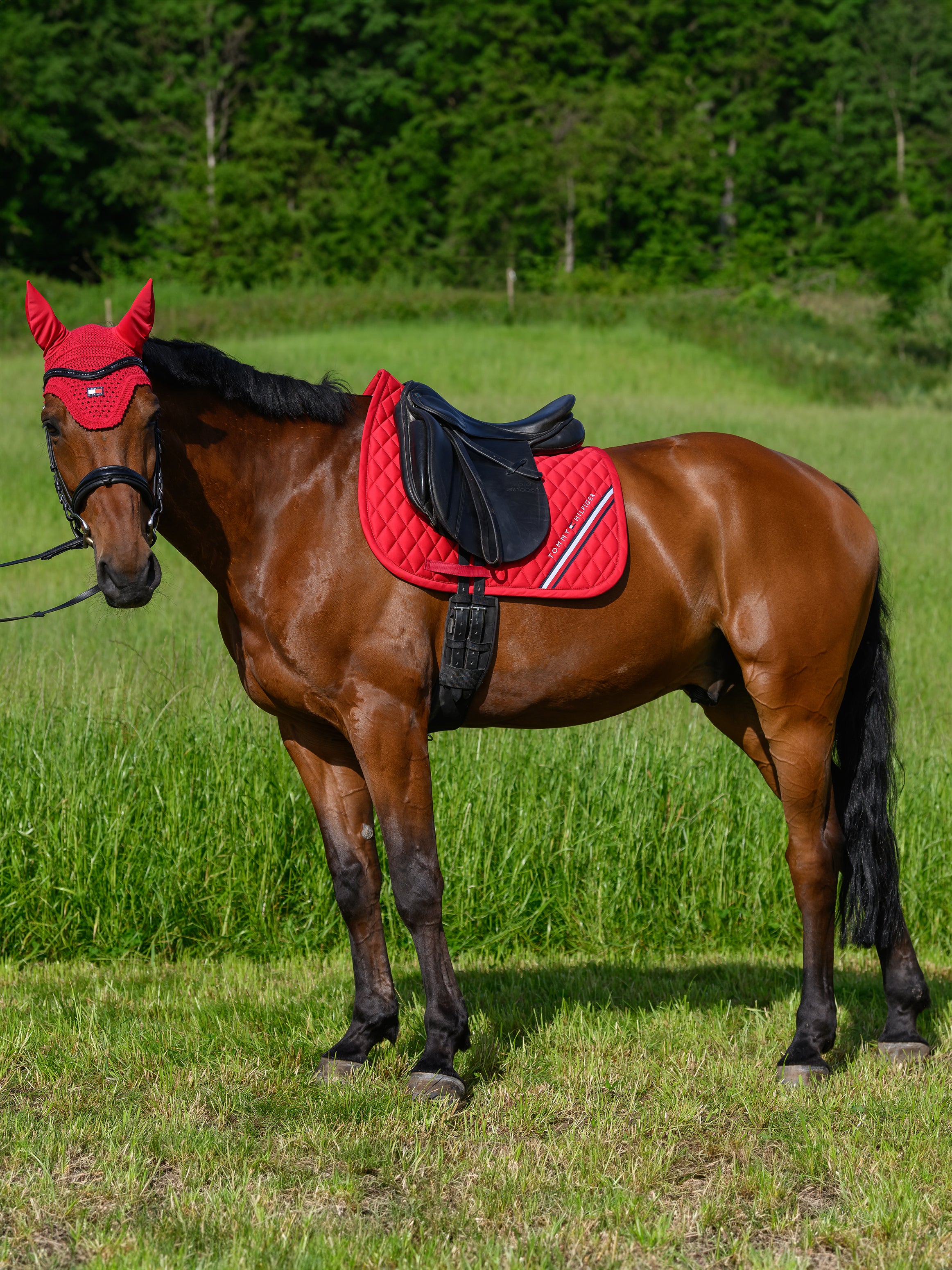 Tapis de selle Stanford DRESSAGE - TOMMY HILFIGER