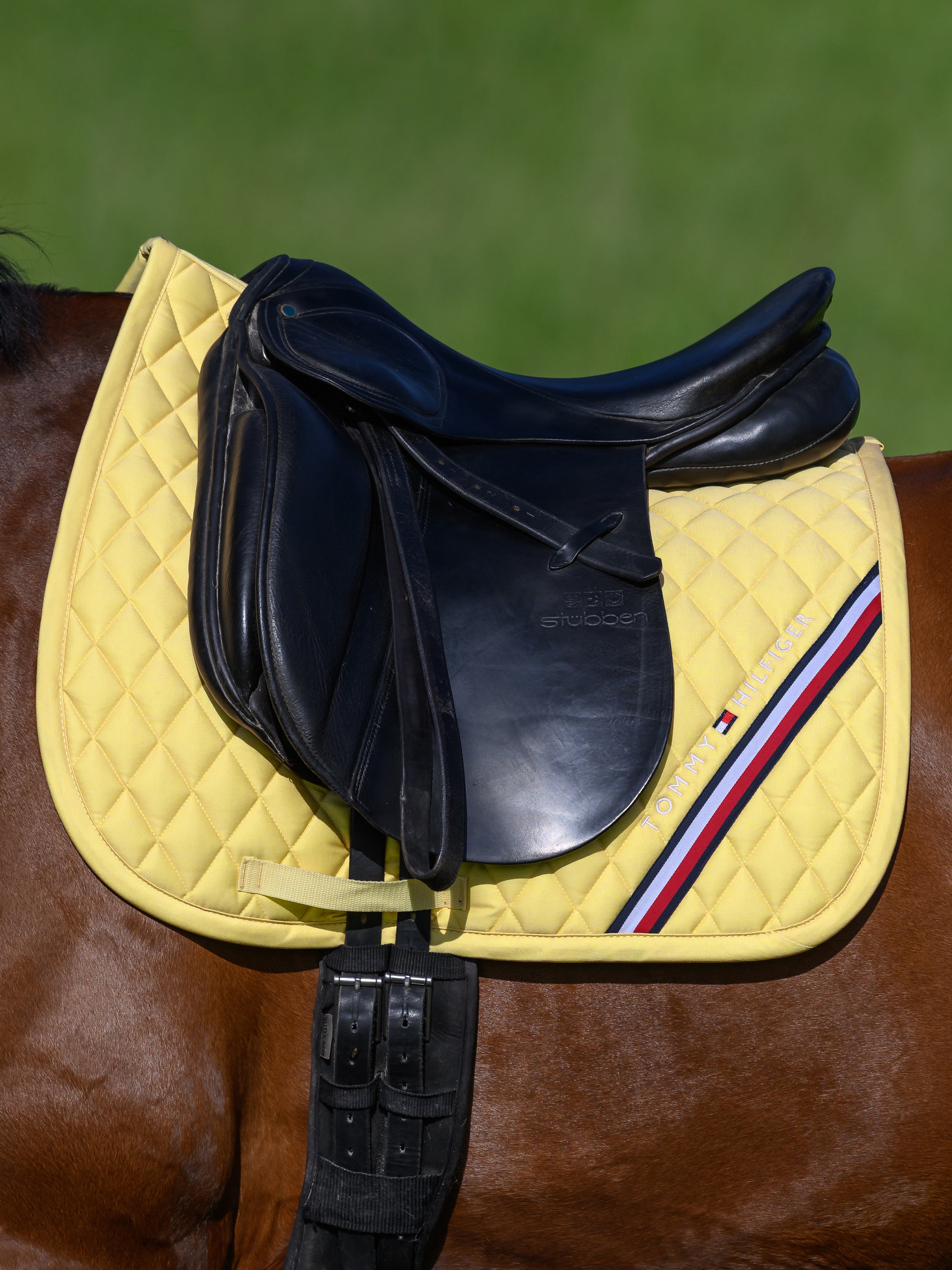 Tapis de selle Stanford DRESSAGE - TOMMY HILFIGER