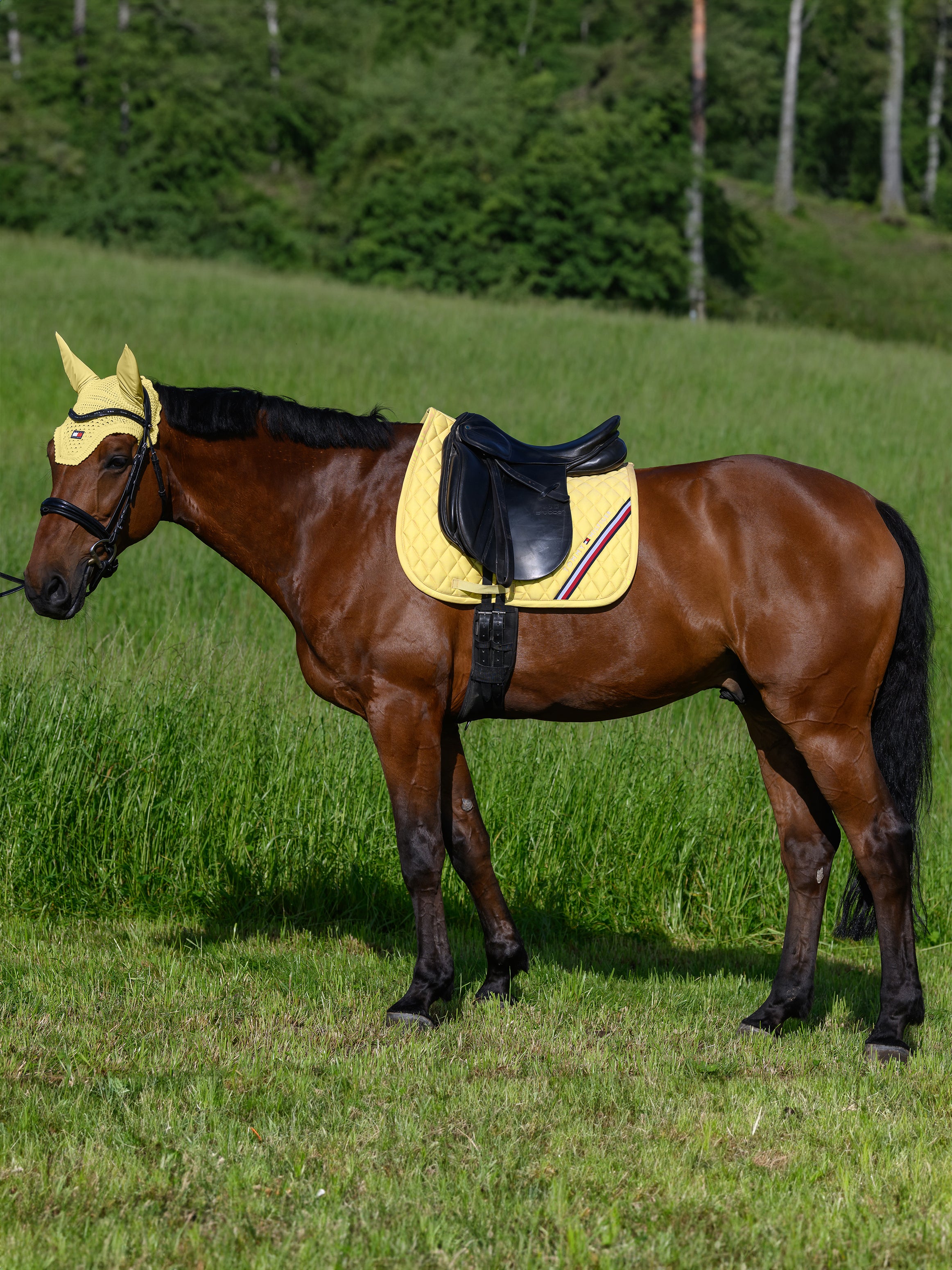 Tapis de selle Stanford DRESSAGE - TOMMY HILFIGER