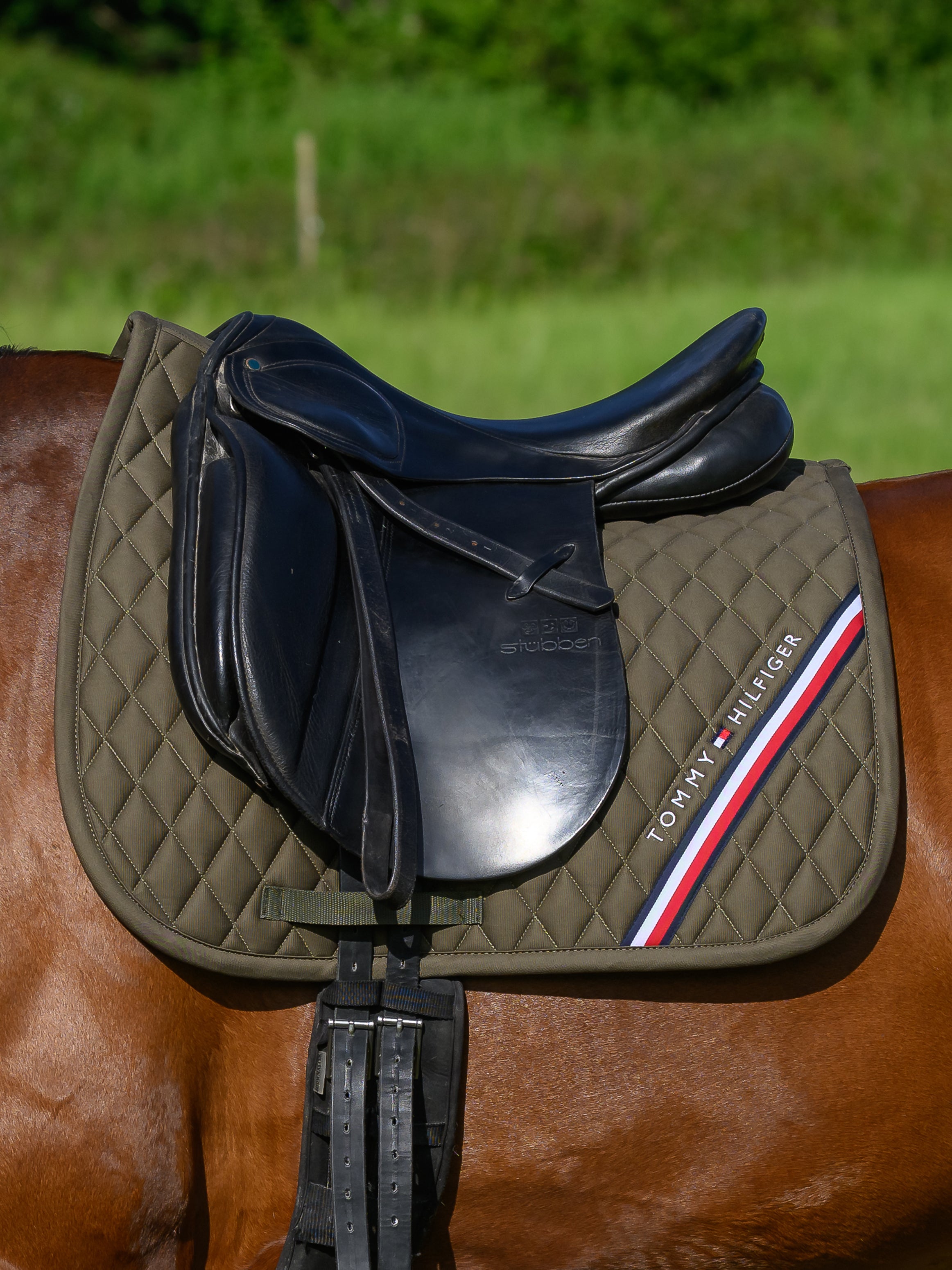 Tapis de selle Stanford DRESSAGE - TOMMY HILFIGER
