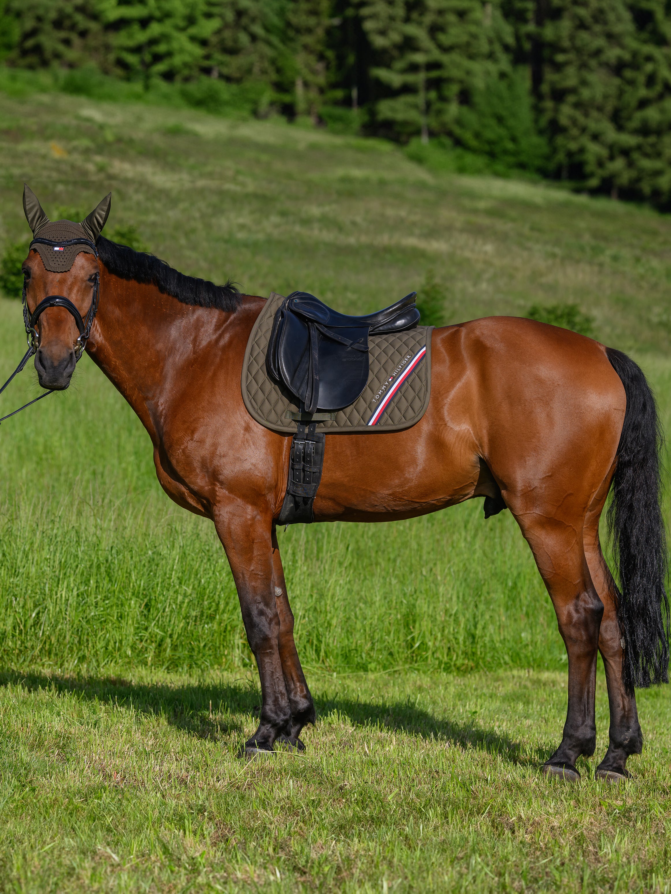 Tapis de selle Stanford DRESSAGE - TOMMY HILFIGER