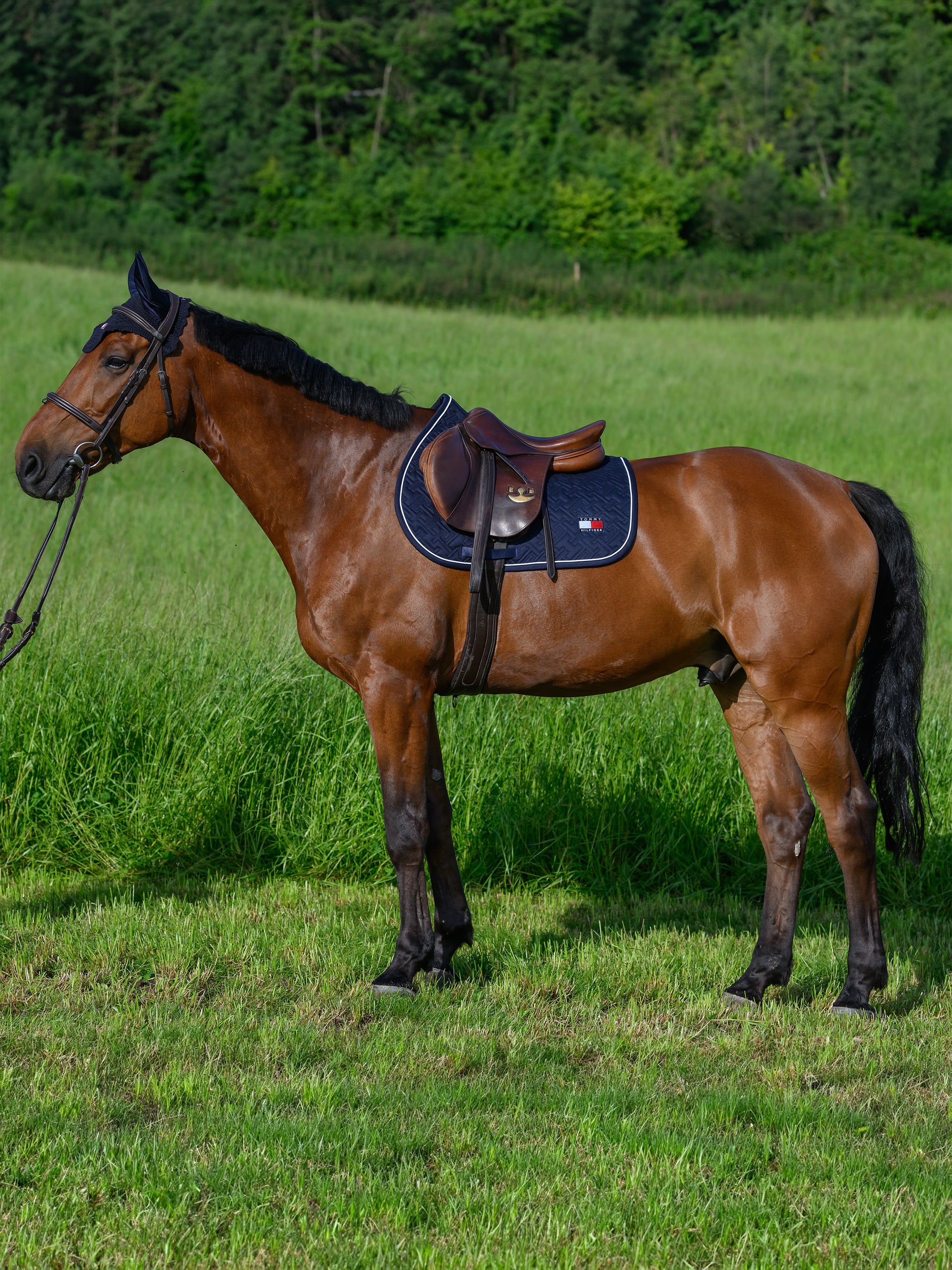 Tapis de selle Harvard MIXTE - TOMMY HILFIGER