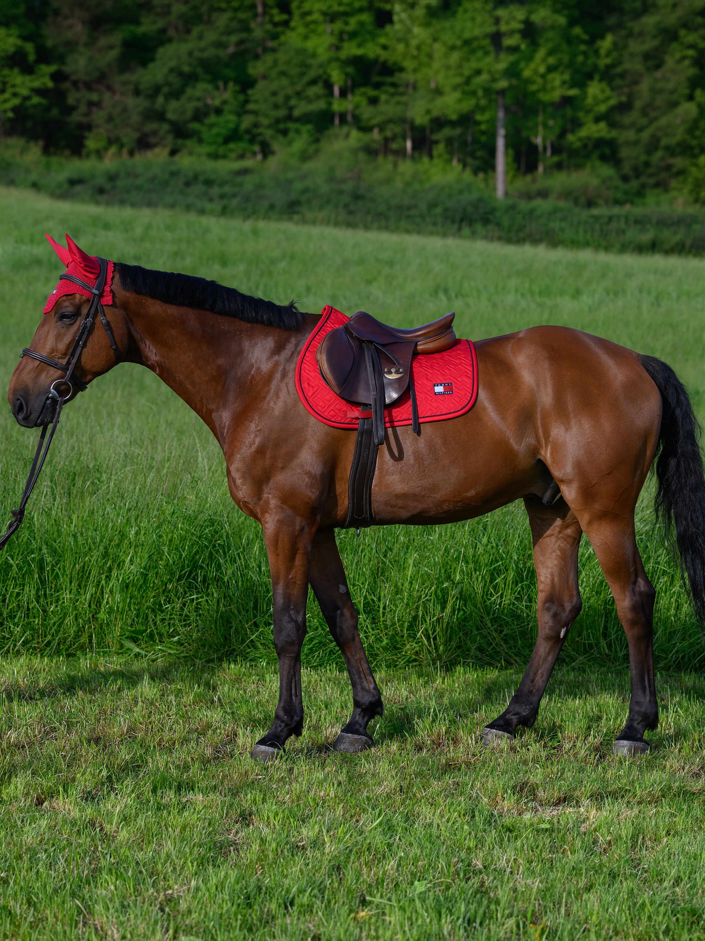 Tapis de selle Harvard MIXTE - TOMMY HILFIGER
