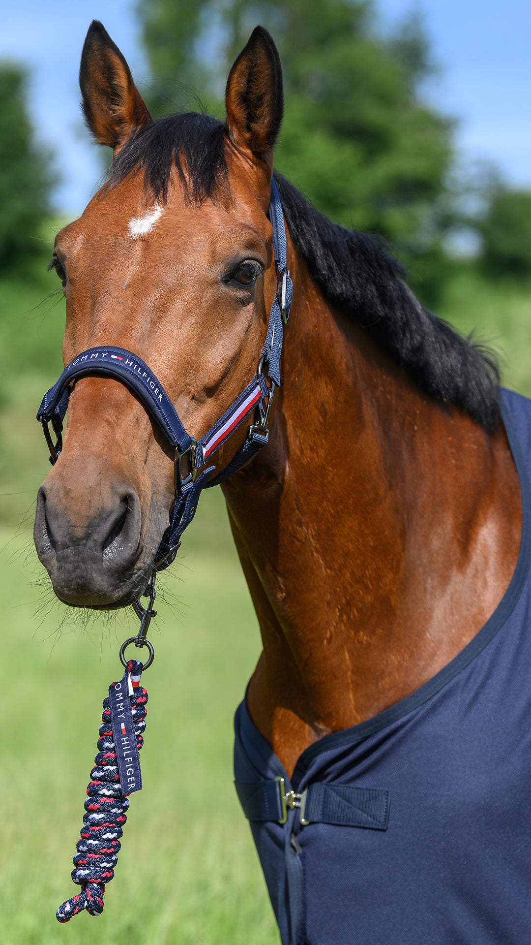 Set licol et longe Yale - Tommy Hilfiger