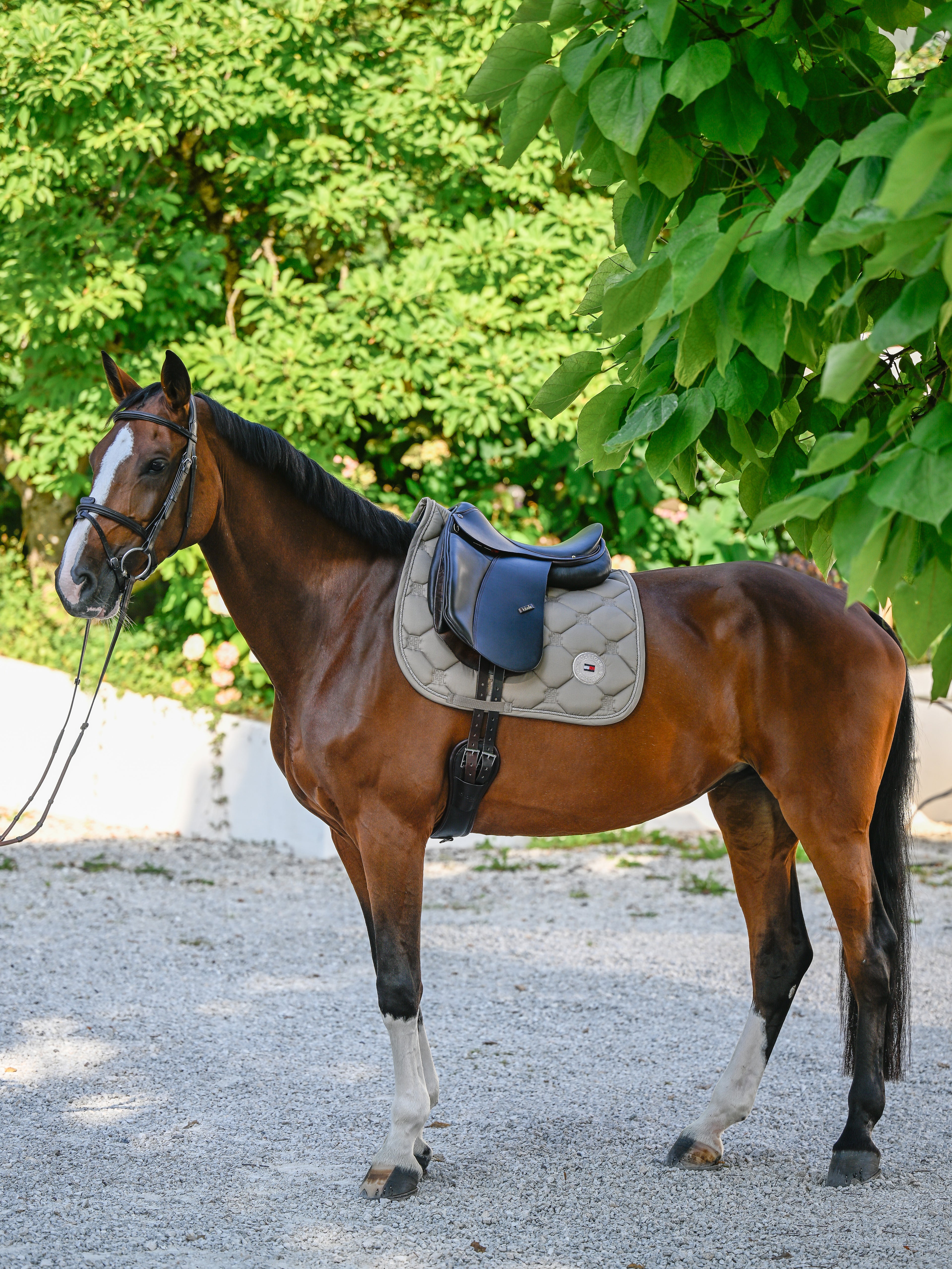Tapis de selle Liberty DRESSAGE - Tommy Hilfiger