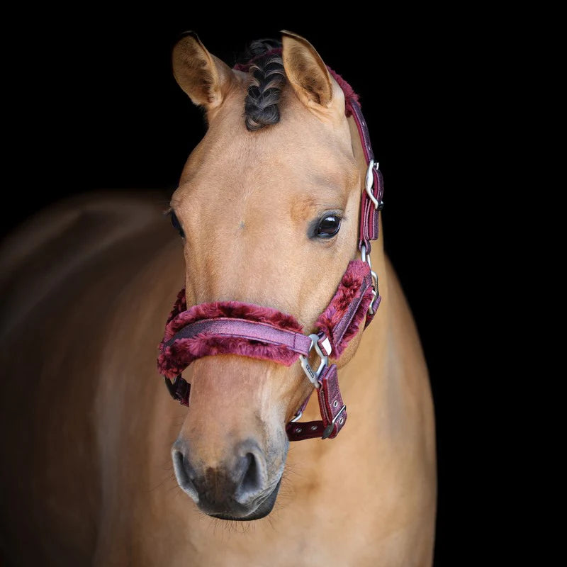 Hollywood Glamorous SD DESIGN Halter - Midnight Sparkle