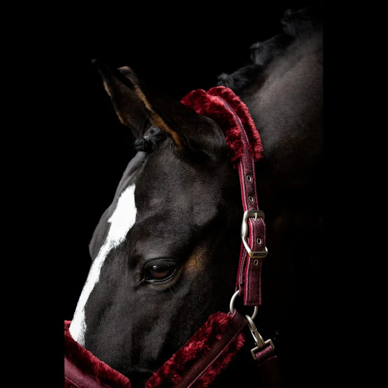 Hollywood Glamorous SD DESIGN Halter - Midnight Sparkle