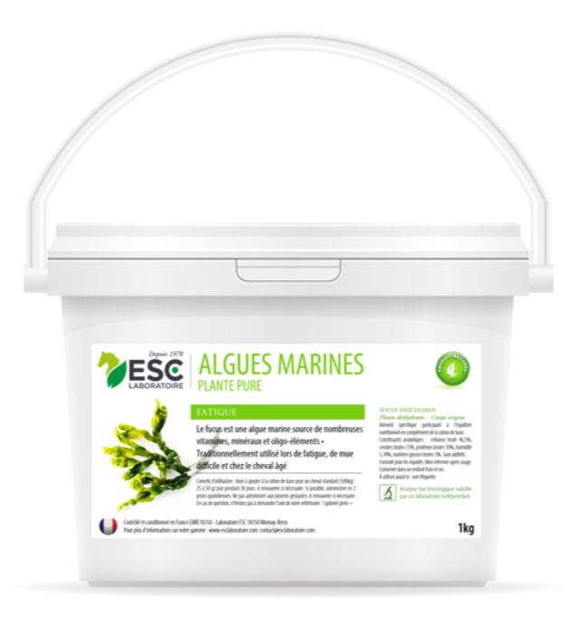 Algues Marines Forme et vitalité - ESC LABORATOIRE