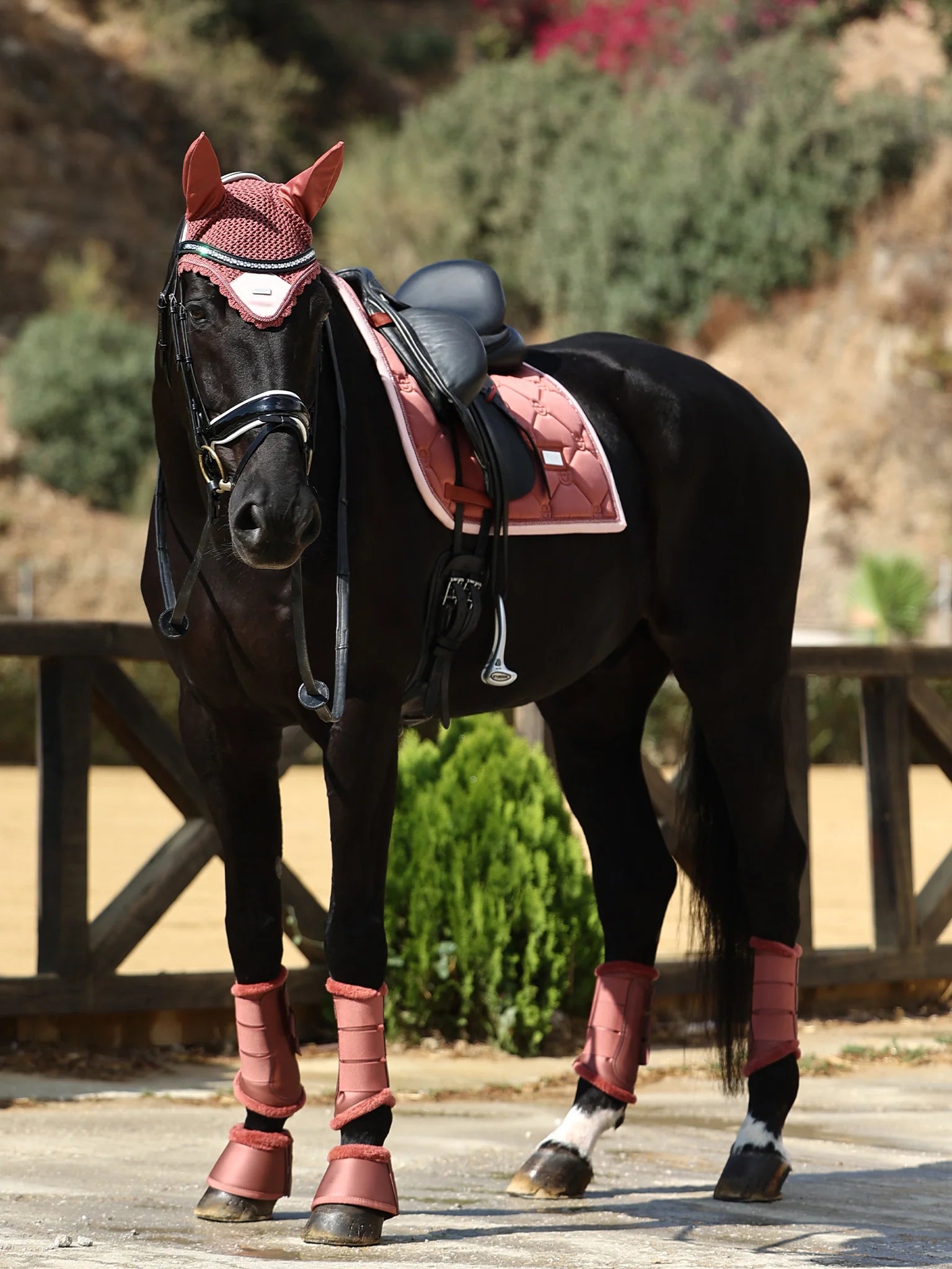 Tapis de selle Amber Rose DRESSAGE - Equestrian Stockholm