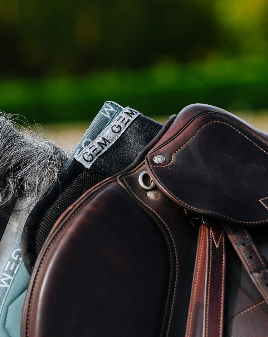 Amortisseur Oscar - GEM