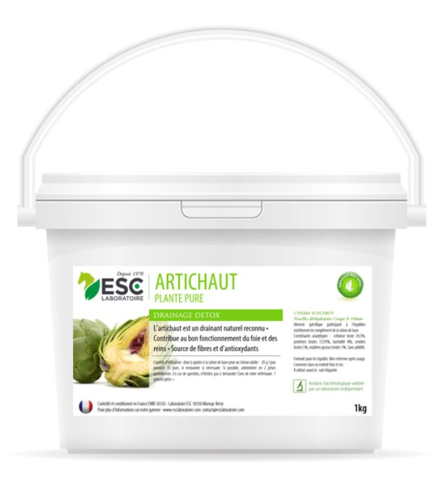 Artichaut Drainage et detox- ESC LABORATOIRE