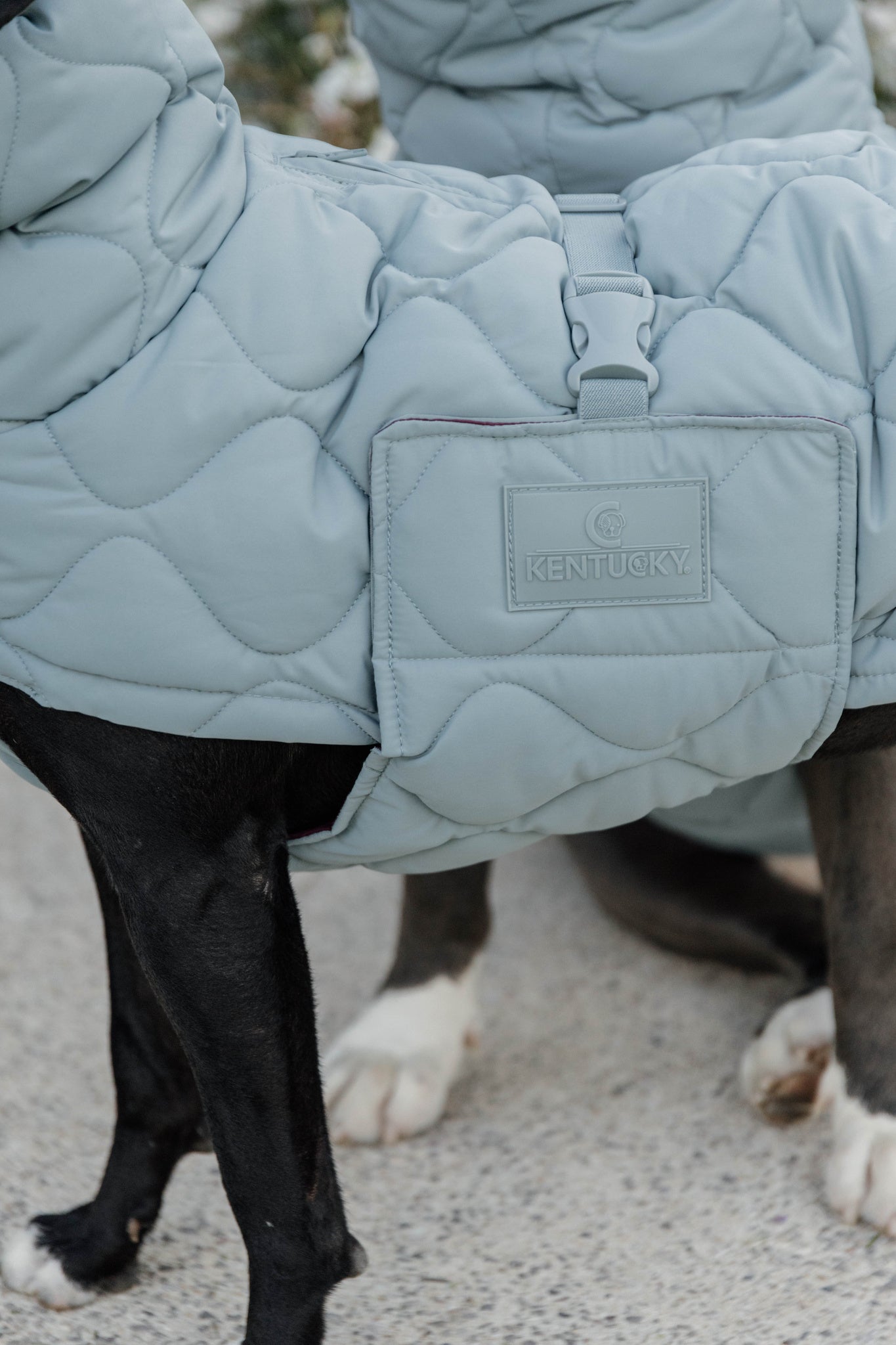 Manteau d&