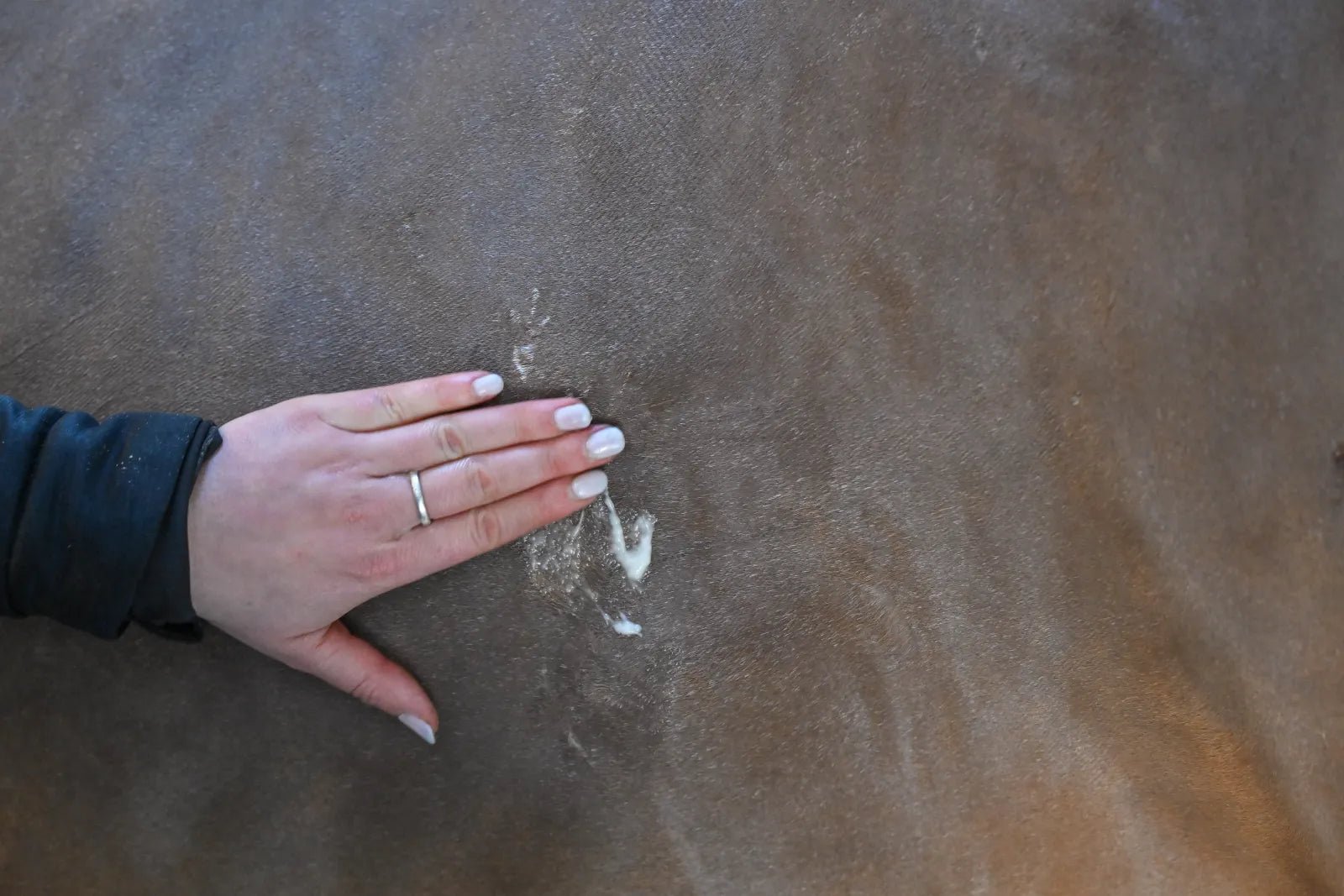 Crème désinfectante et cicatrisante Natural&