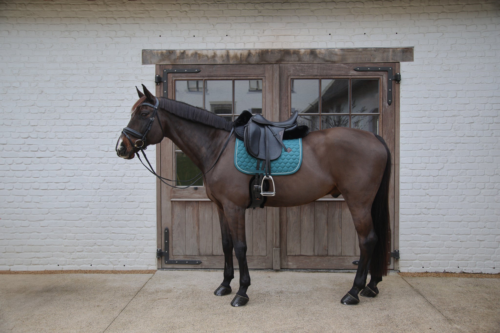 Tapis de selle Melange DRESSAGE - Kentucky