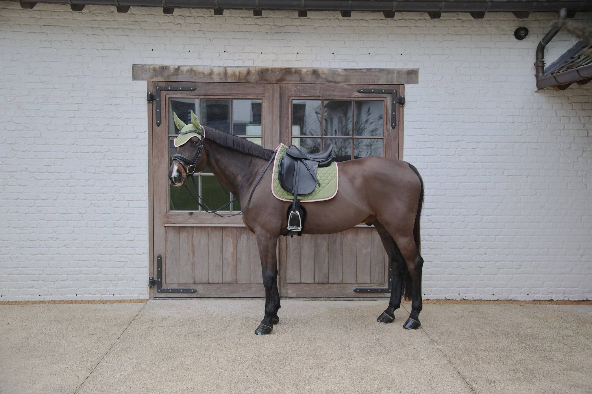 Tapis Softshell Onion Quilt DRESSAGE - Kentucky