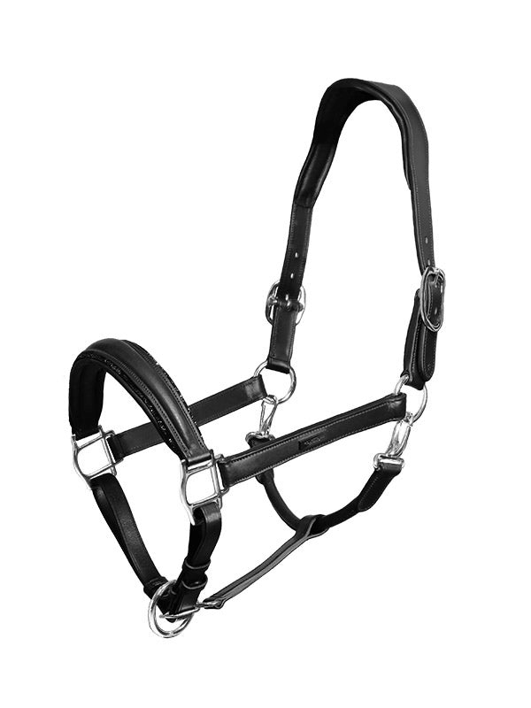 Licol en cuir anatomique Black Edition - EQUESTRIAN STOCKHOLM