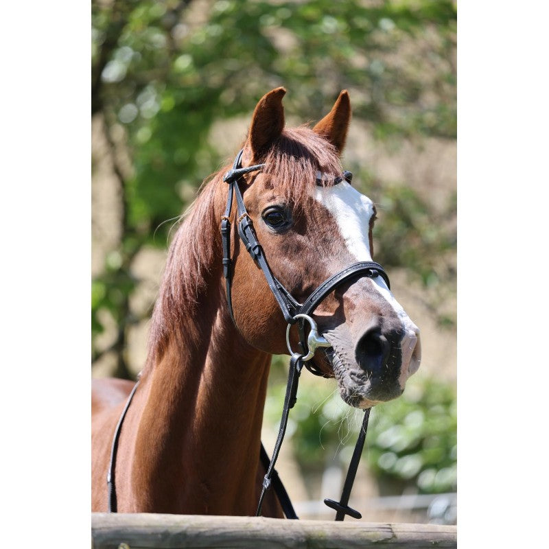 Bridon Disco insert noir - JU & PA