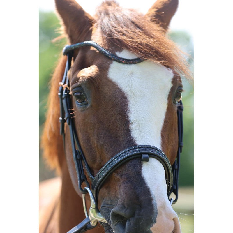 Bridon Disco insert noir - JU & PA