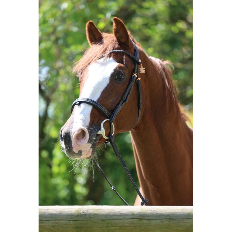 Bridon Disco insert noir - JU & PA