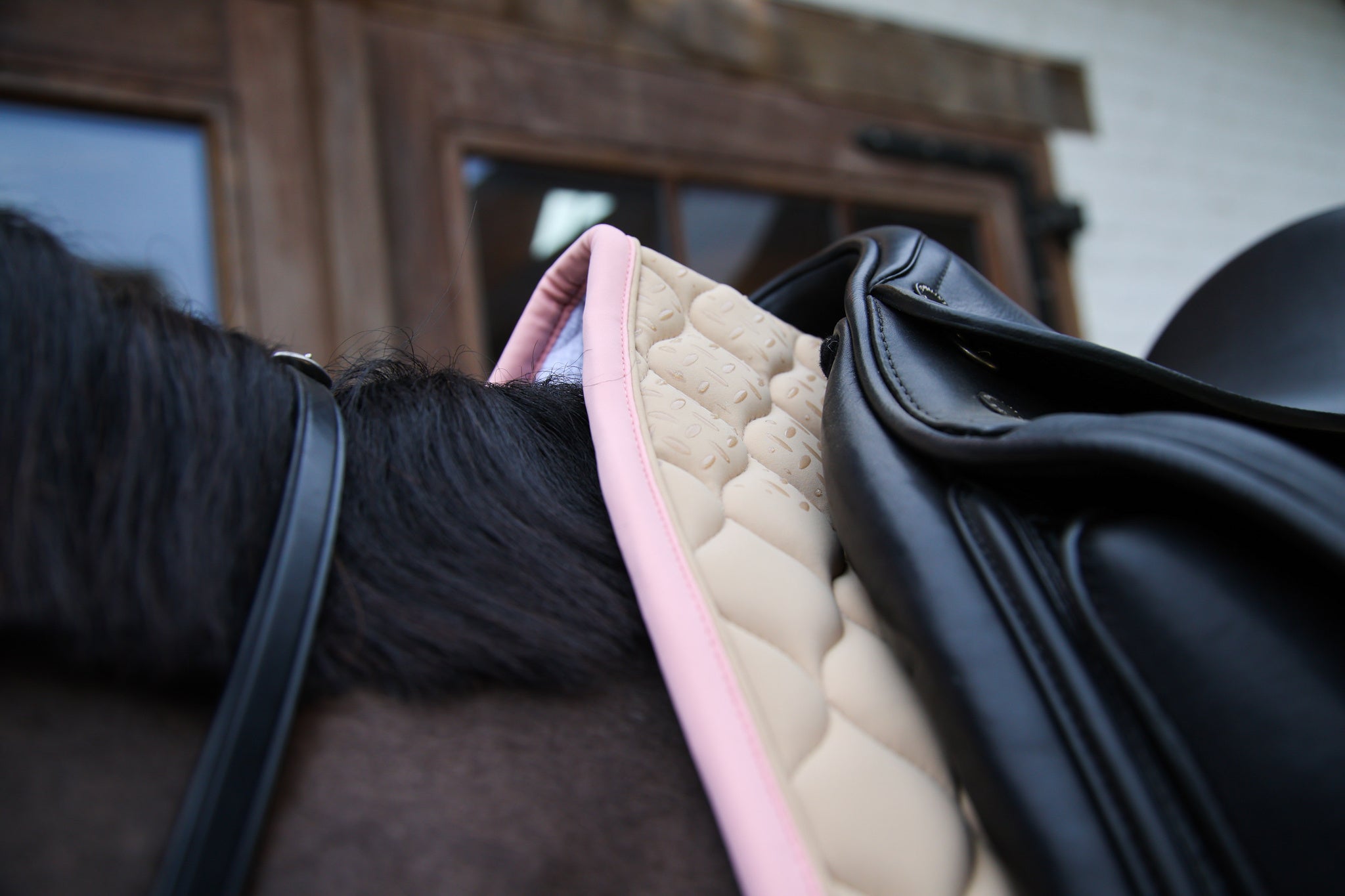 Tapis Softshell Onion Quilt DRESSAGE - Kentucky