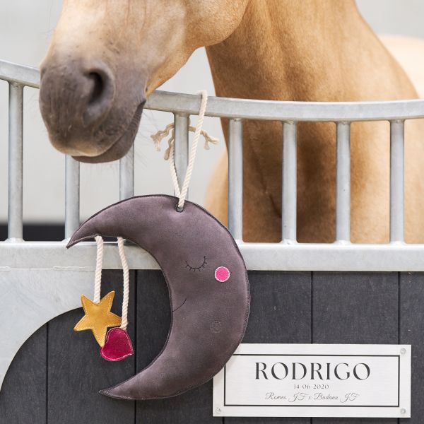 Buddy Horseshoes Horseshoe Box Toy - Imperial Riding