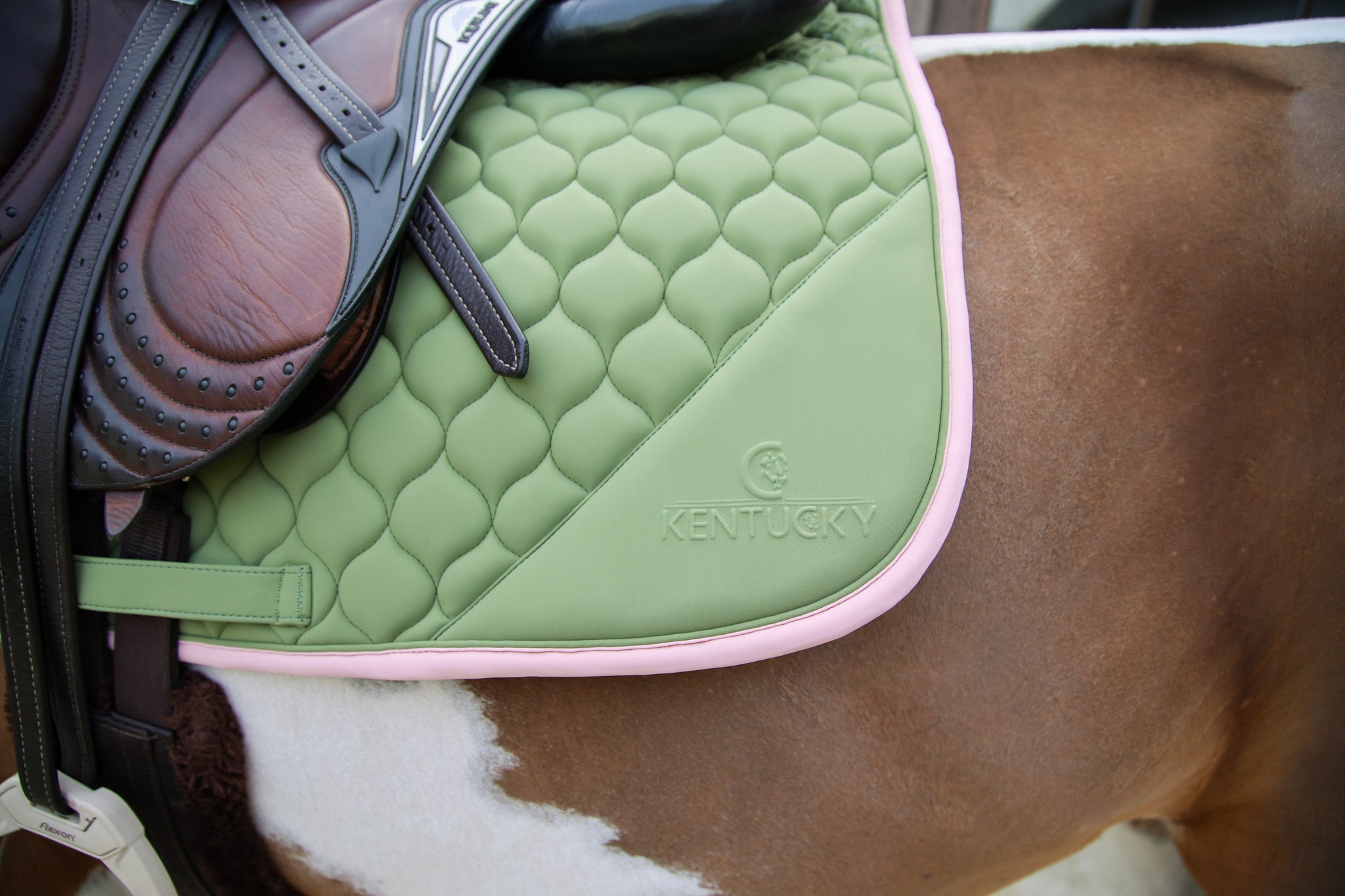 Tapis de selle Softshell Onion Quilt MIXTE - Kentucky