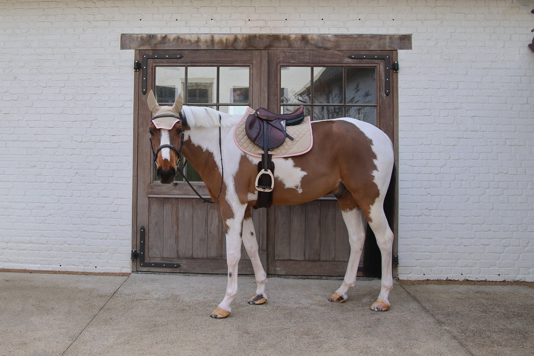 Tapis de selle Softshell Onion Quilt MIXTE - Kentucky