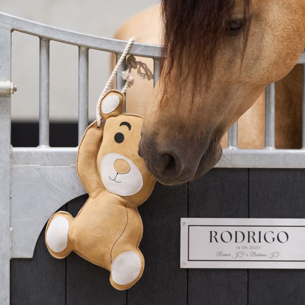 Jouet de box Teddy - IMPERIAL RIDING