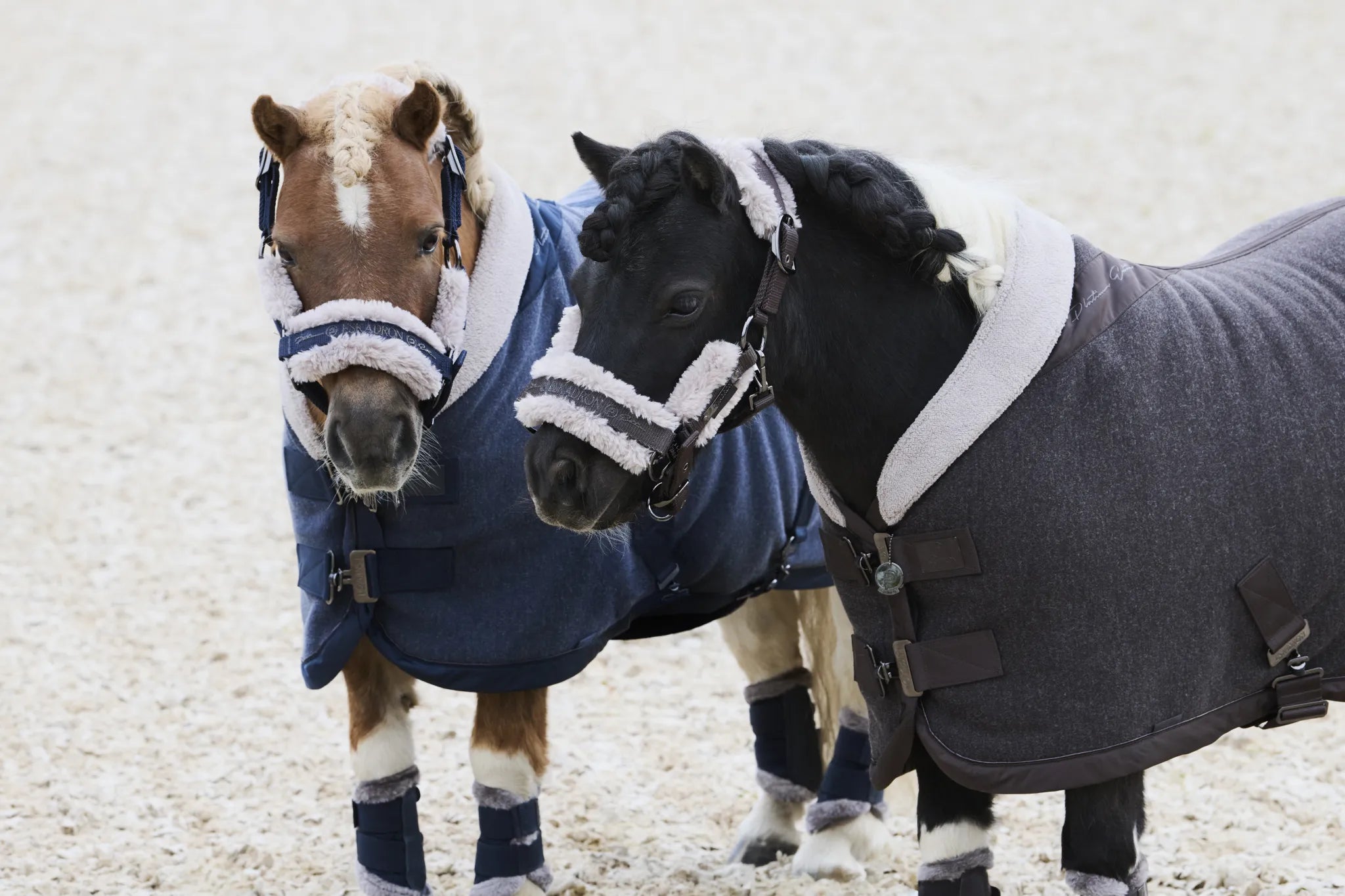 Licol Double Pin Girth Faux Fur PLATINUM 2024 - Eskadron