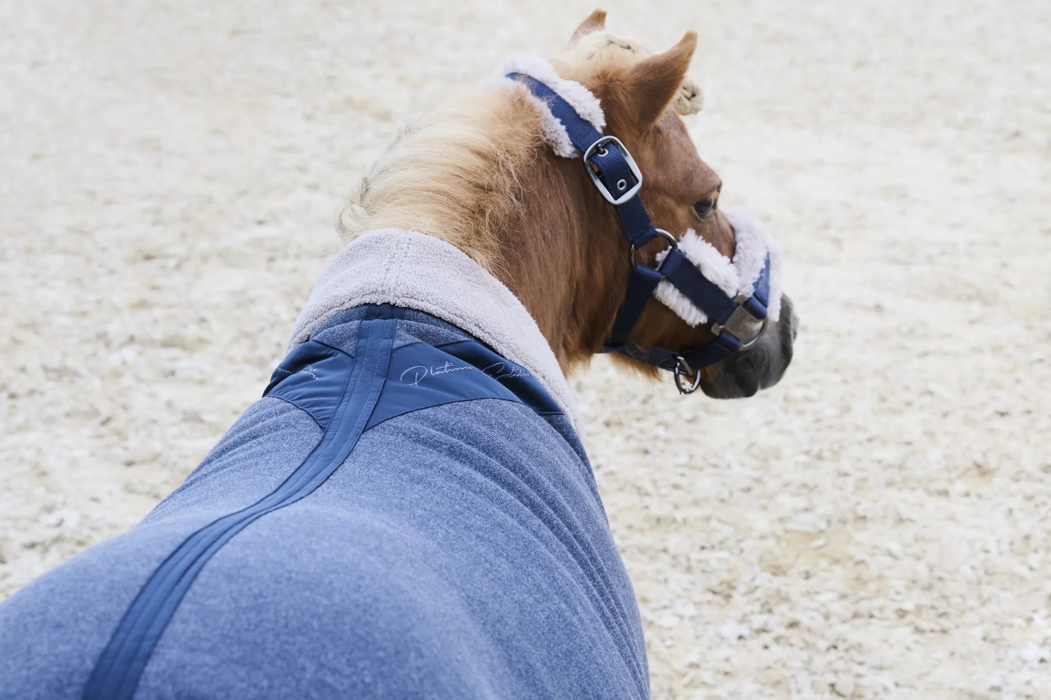 Licol Double Pin Girth Faux Fur PLATINUM 2024 - Eskadron