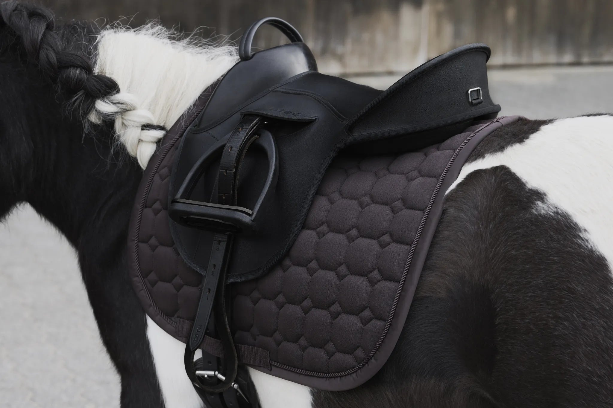 Tapis de selle Cotton Glitter PLATINUM 2024 DRESSAGE - Eskadron