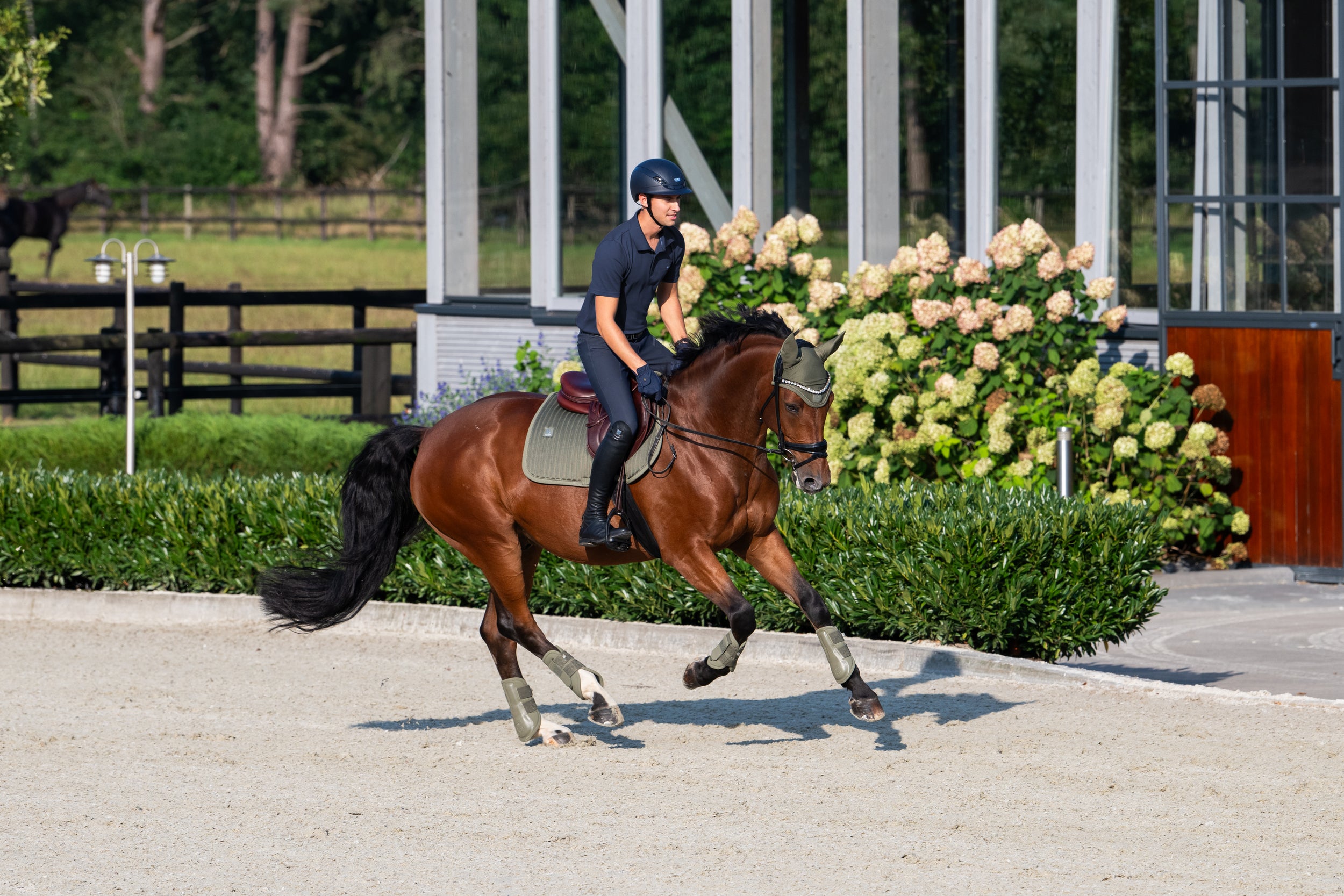 Classic Sports Softshell Gaiters 2024 - Eskadron