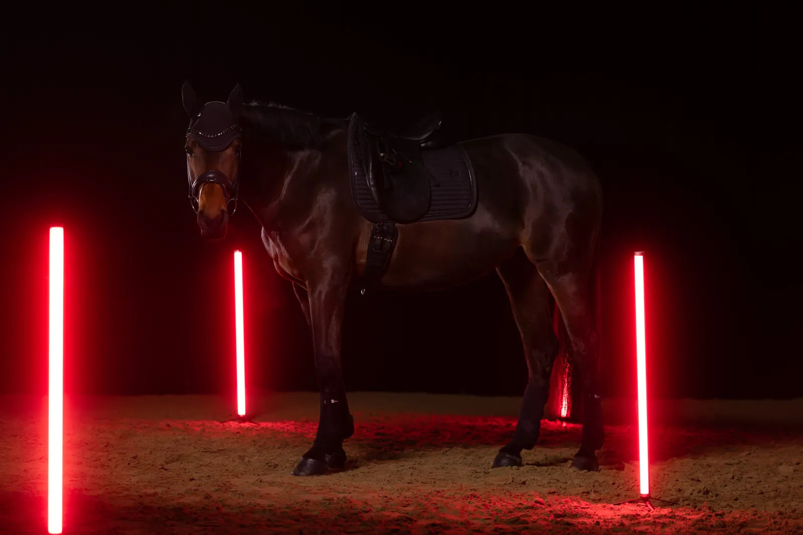 Tapis de selle Sparkle Crystal DRESSAGE Dynamic 2025 - Eskadron
