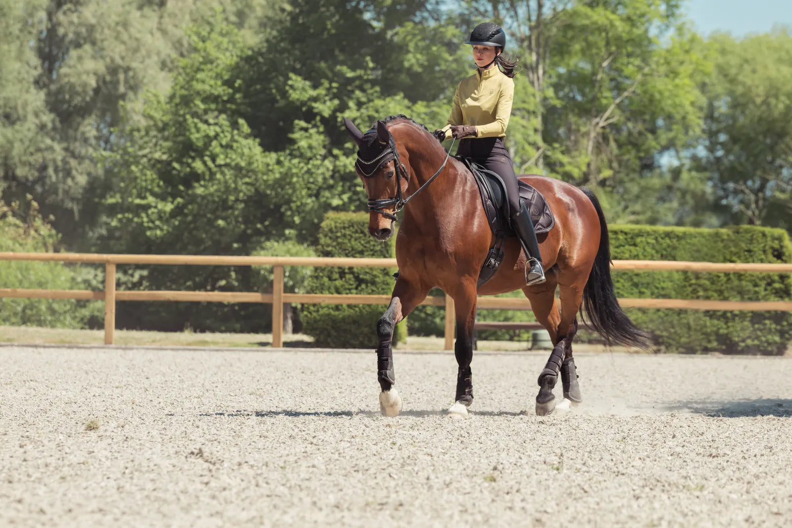 Haut manches longues zip Heritage 2025 - Eskadron