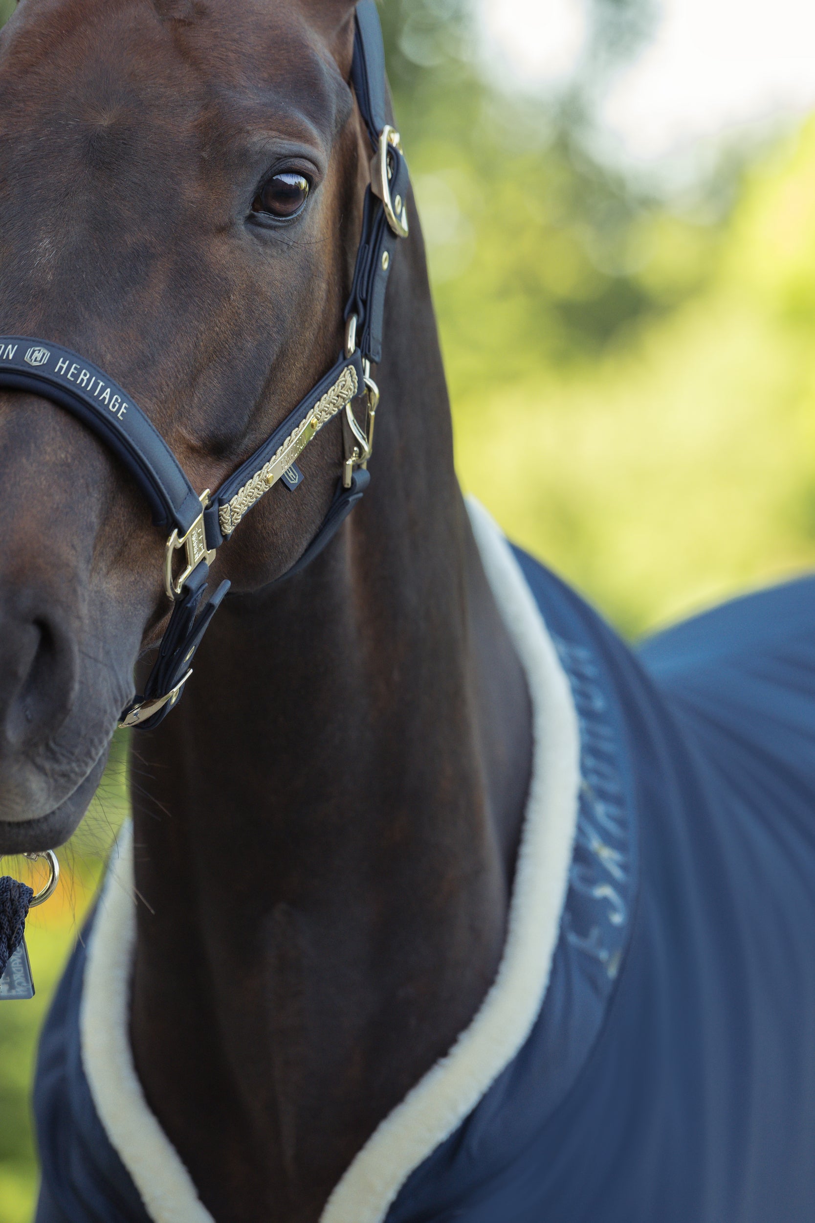 Licol Faux Leather Double pin Heritage 2025 - Eskadron