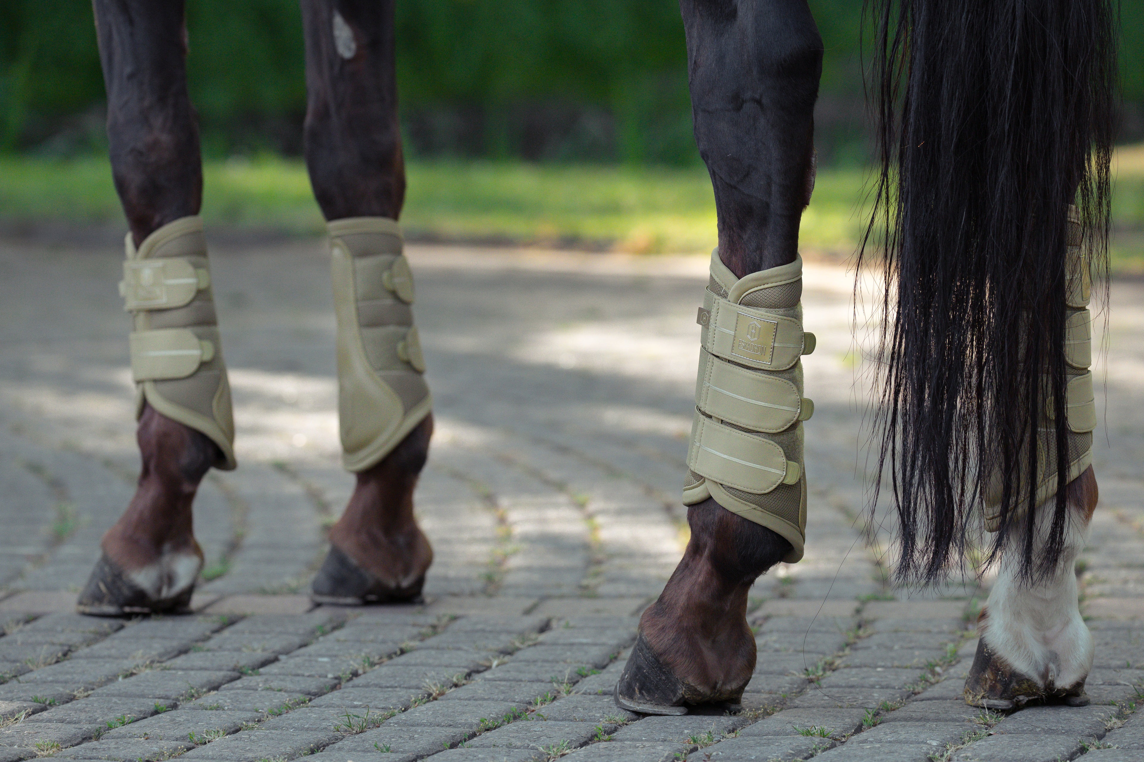 Guêtres Mesh Heritage 2025 - Eskadron