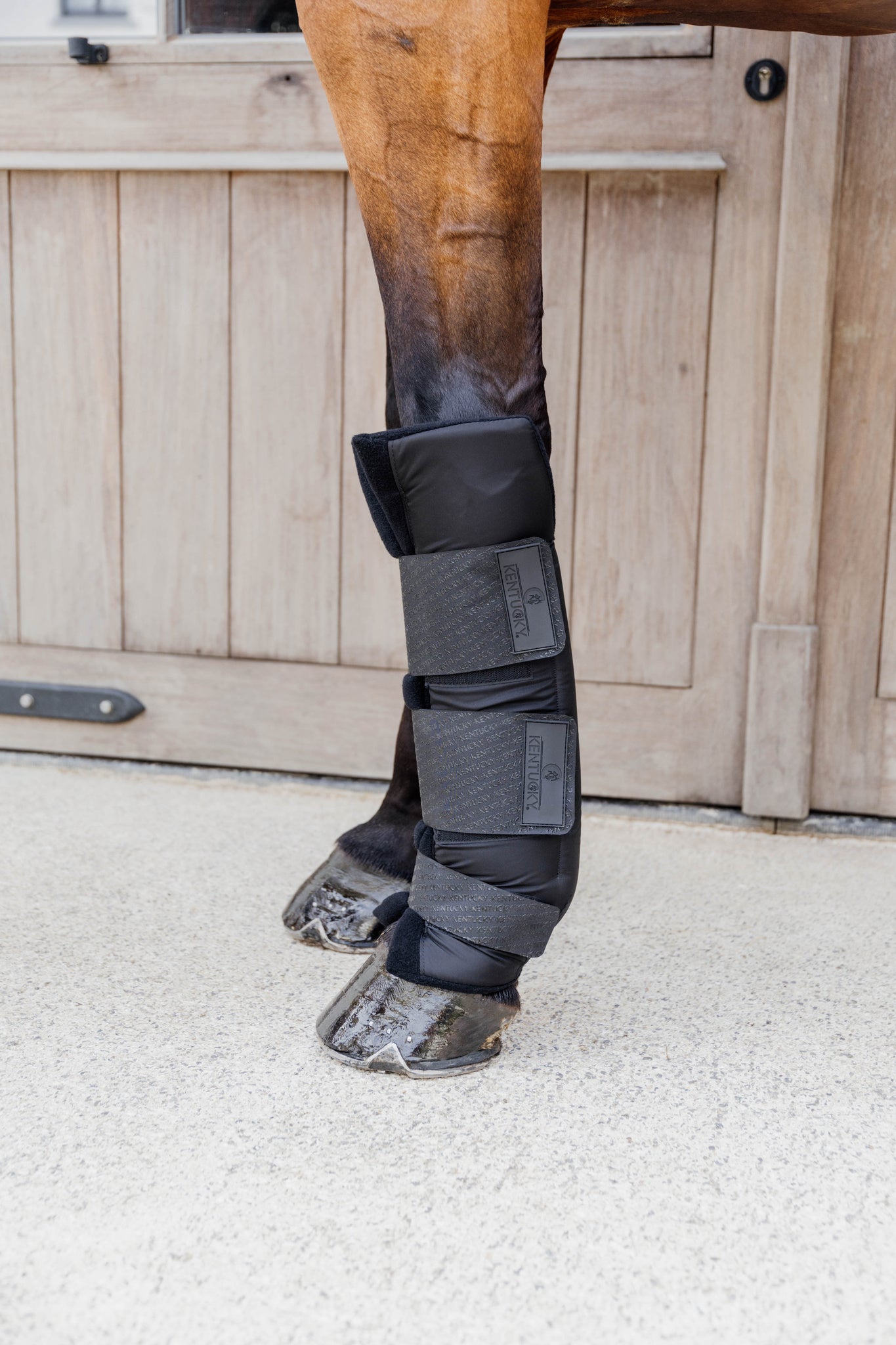 Guêtres de repos PROtect Classic - KENTUCKY