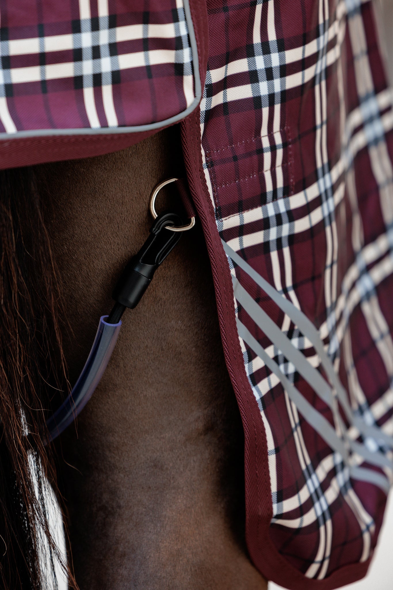 Couverture d’extérieur Imperméable All Weather Comfort 0g - Kentucky