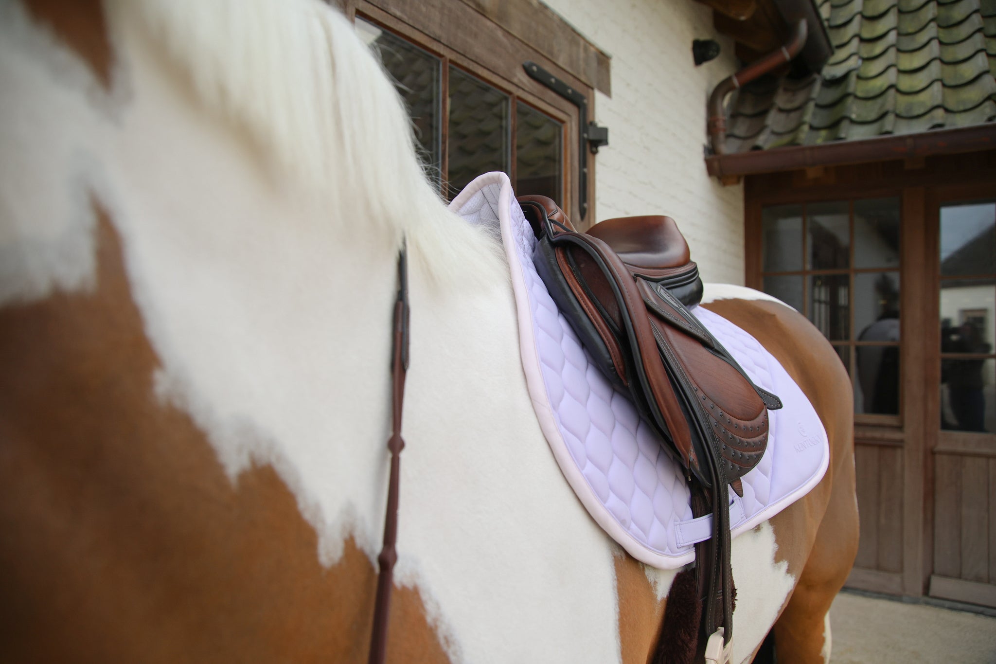 Tapis de selle Softshell Onion Quilt MIXTE - Kentucky