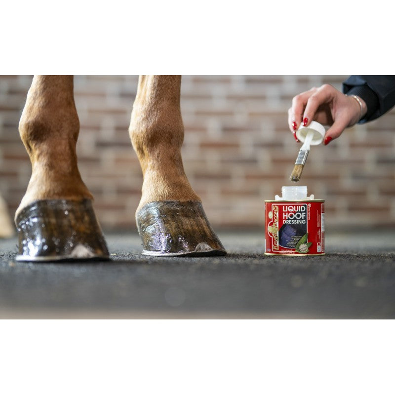 Huile pour sabots Hoof dressing - KEVIN BACON&