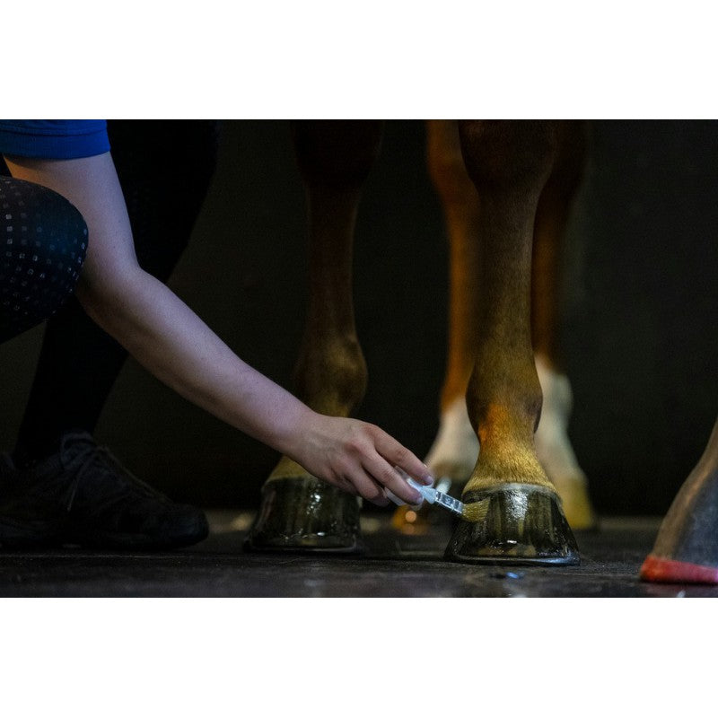 Huile pour sabots Hoof dressing - KEVIN BACON&