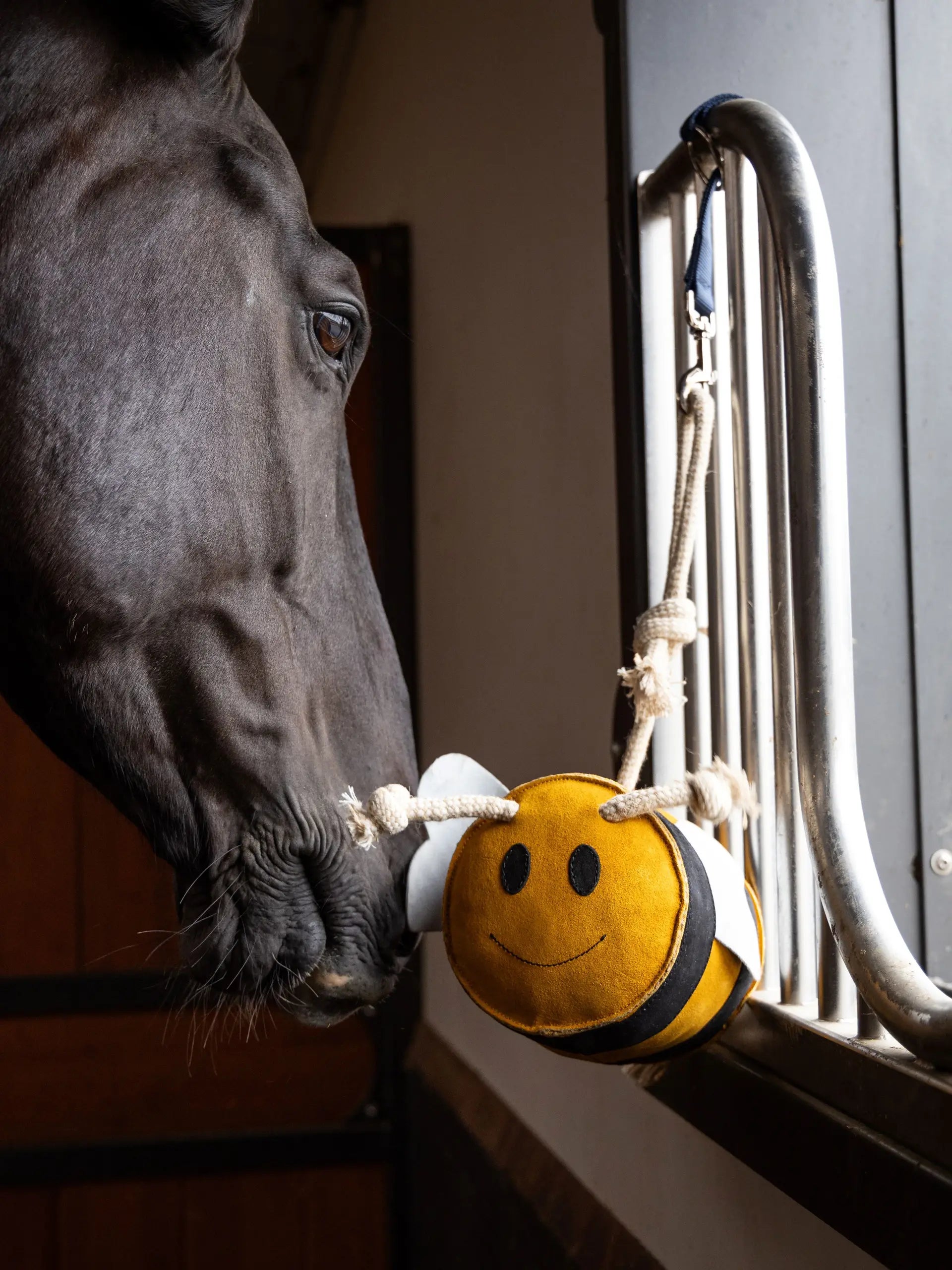 Jouet pour cheval Abeille - LEMIEUX
