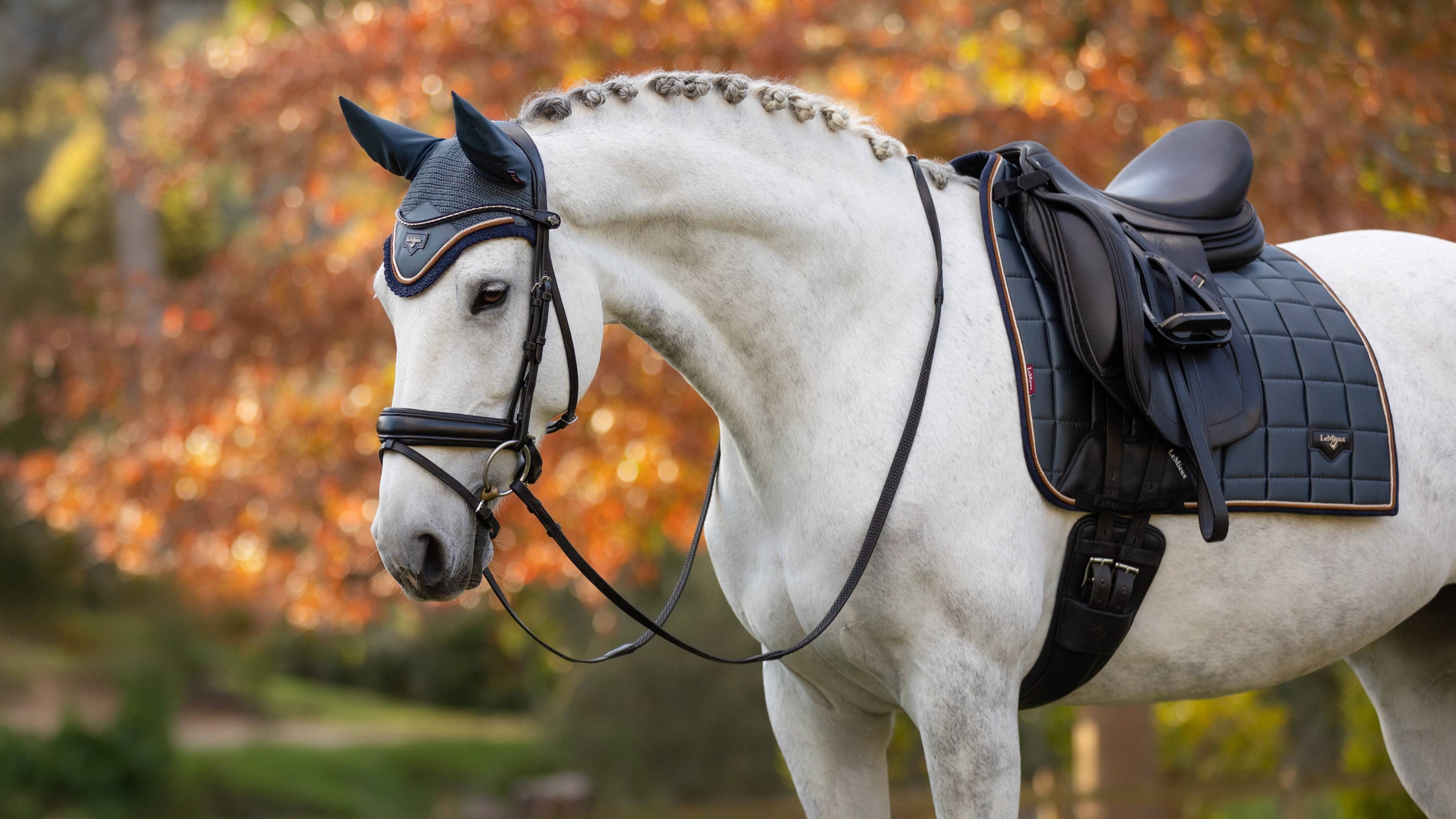Tapis de dressage Loire Petrole - LEMIEUX