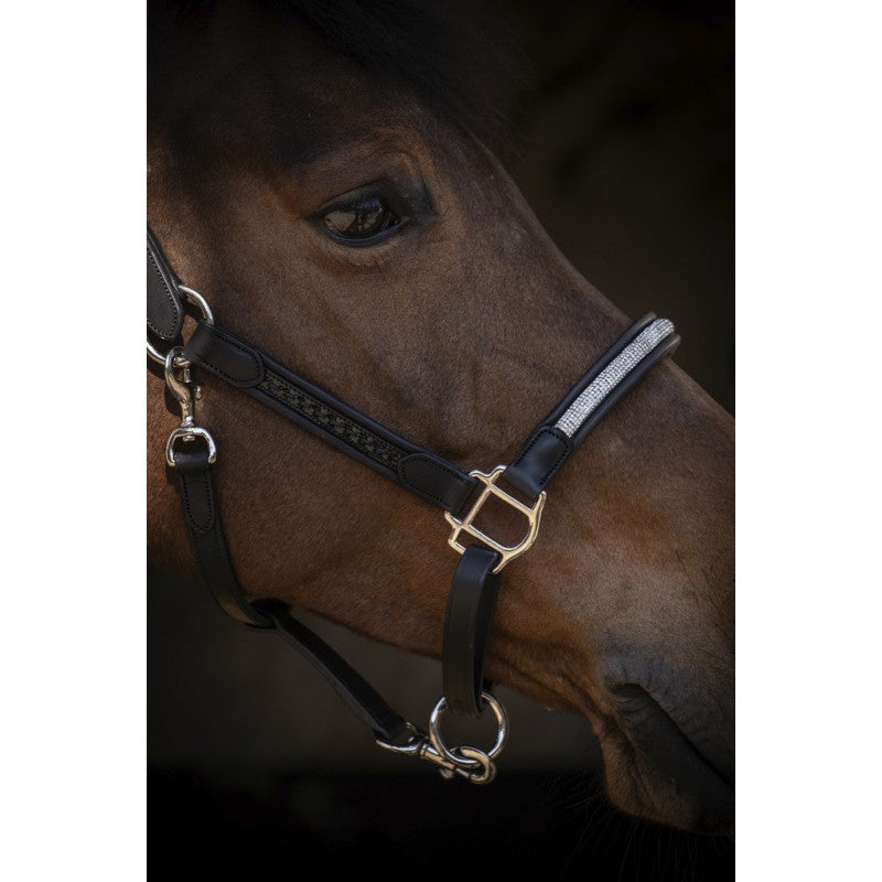 Licol cuir Harmonie - PENELOPE COLLECTION