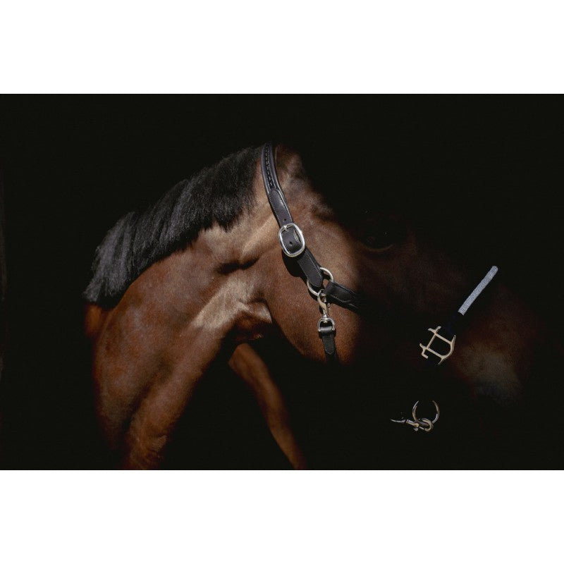 Licol cuir Harmonie - PENELOPE COLLECTION