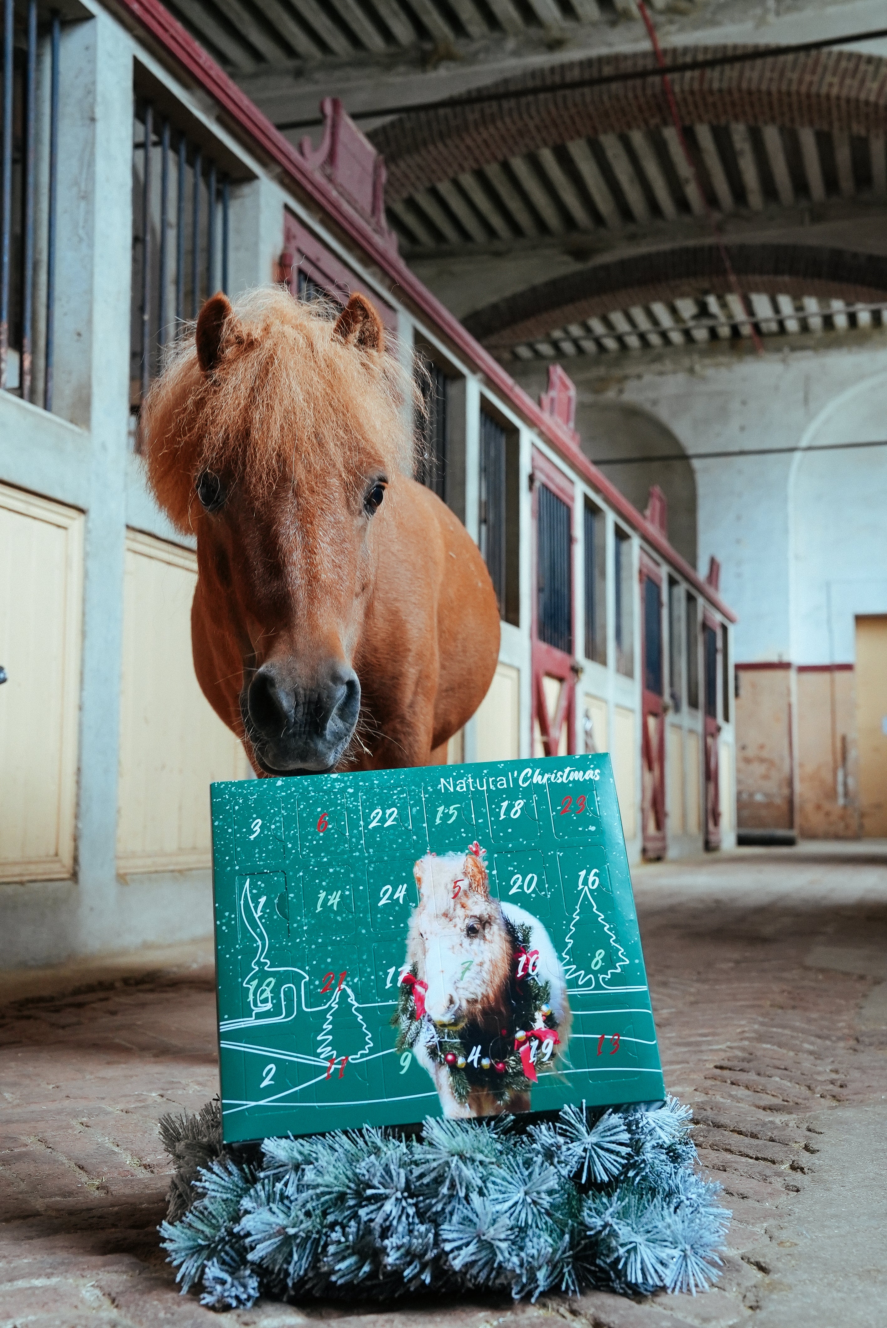 Calendrier de l&