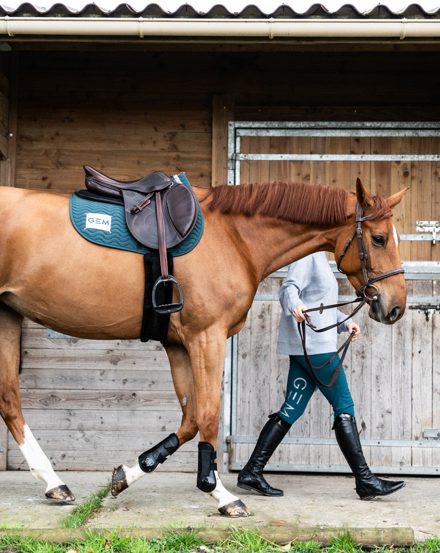 Pantalon Max coloris Paon - GEM