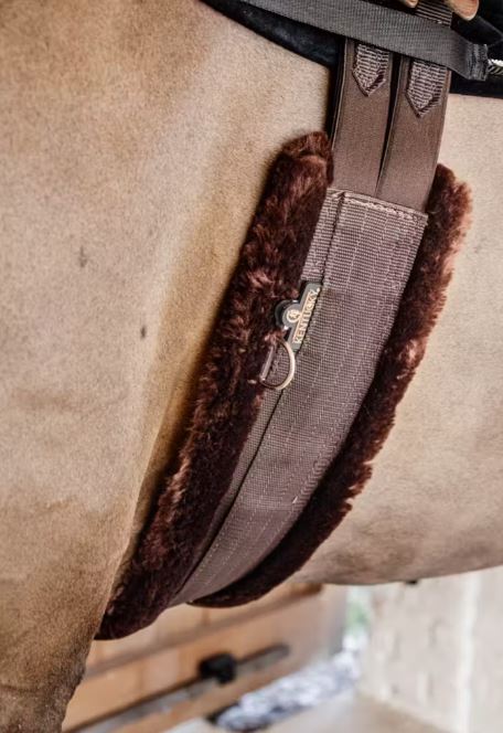 Sangle mouton Marron mouton Marron - KENTUCKY