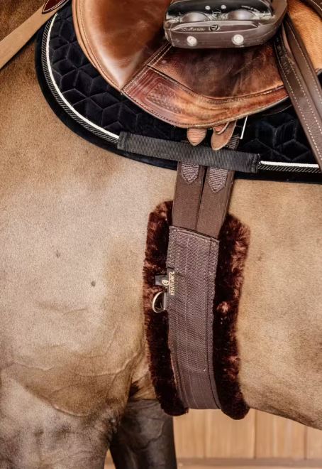 Sangle mouton Marron mouton Marron - KENTUCKY