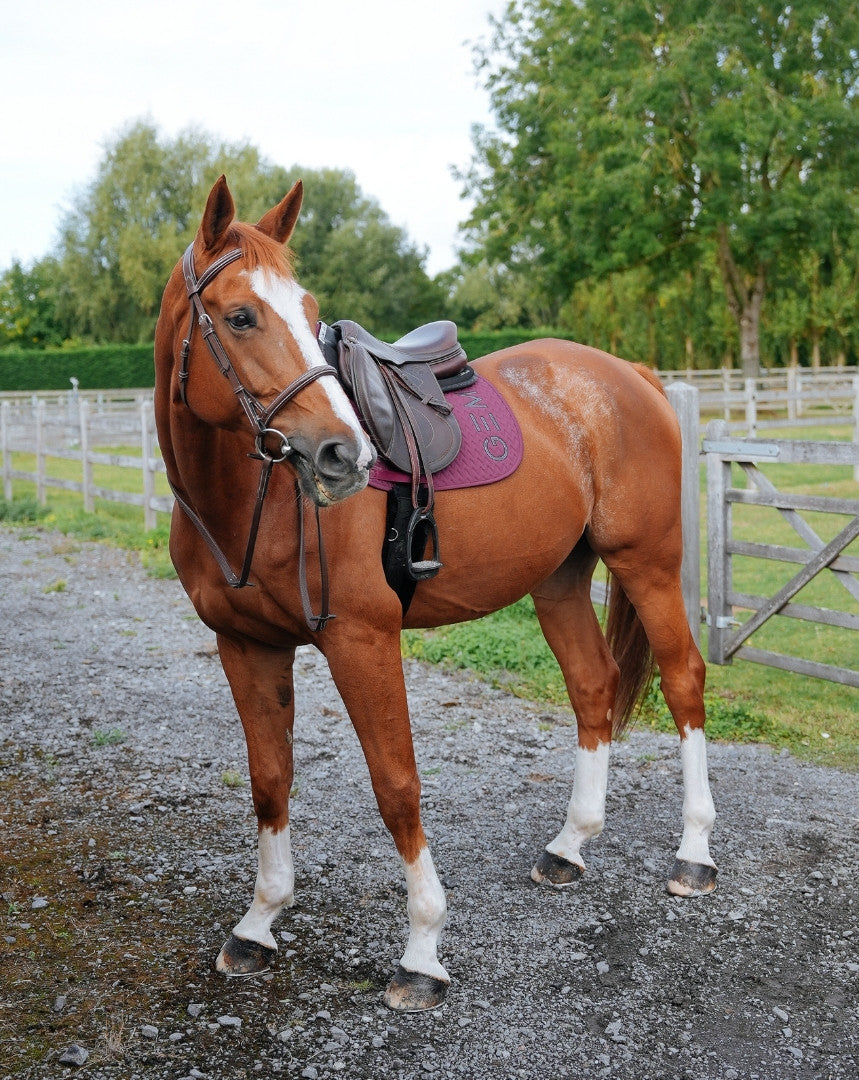 Tapis de selle TEN MIXTE Raisin - GEM